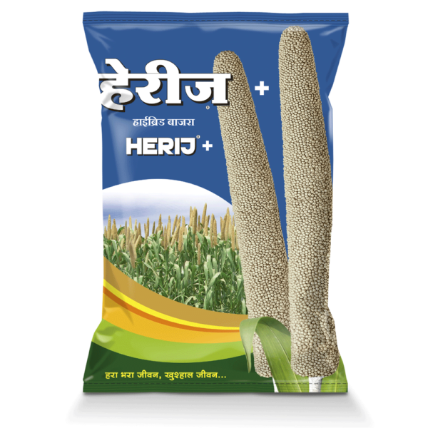 bajra hybrid seeds